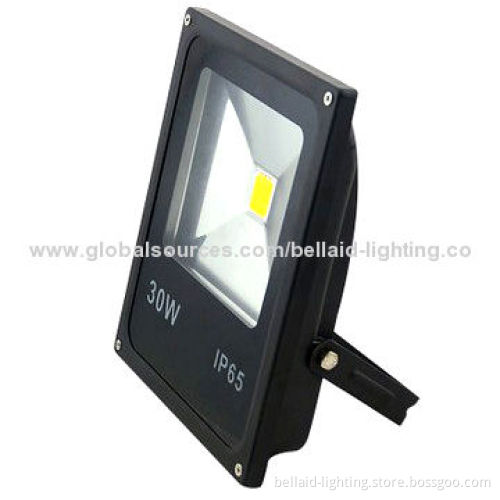 LED Outdoor Floodlight, 90-100lm/W, DC 12/24V is Optional